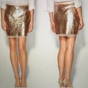 Sabine NEW! gold sequin skirt with mesh trim- Medium